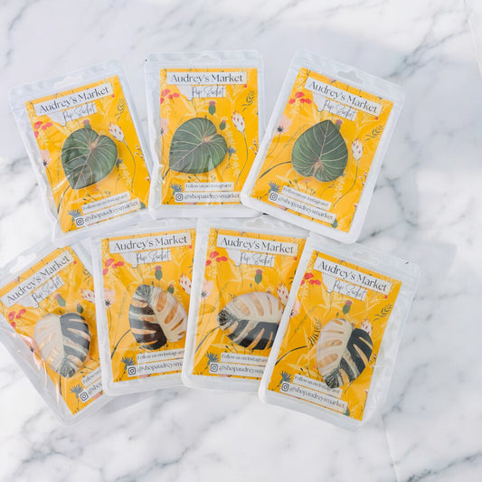 Monstera Pop Socket Phone Grip